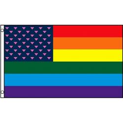 Rainbow Pink Triangle Stripe Flag